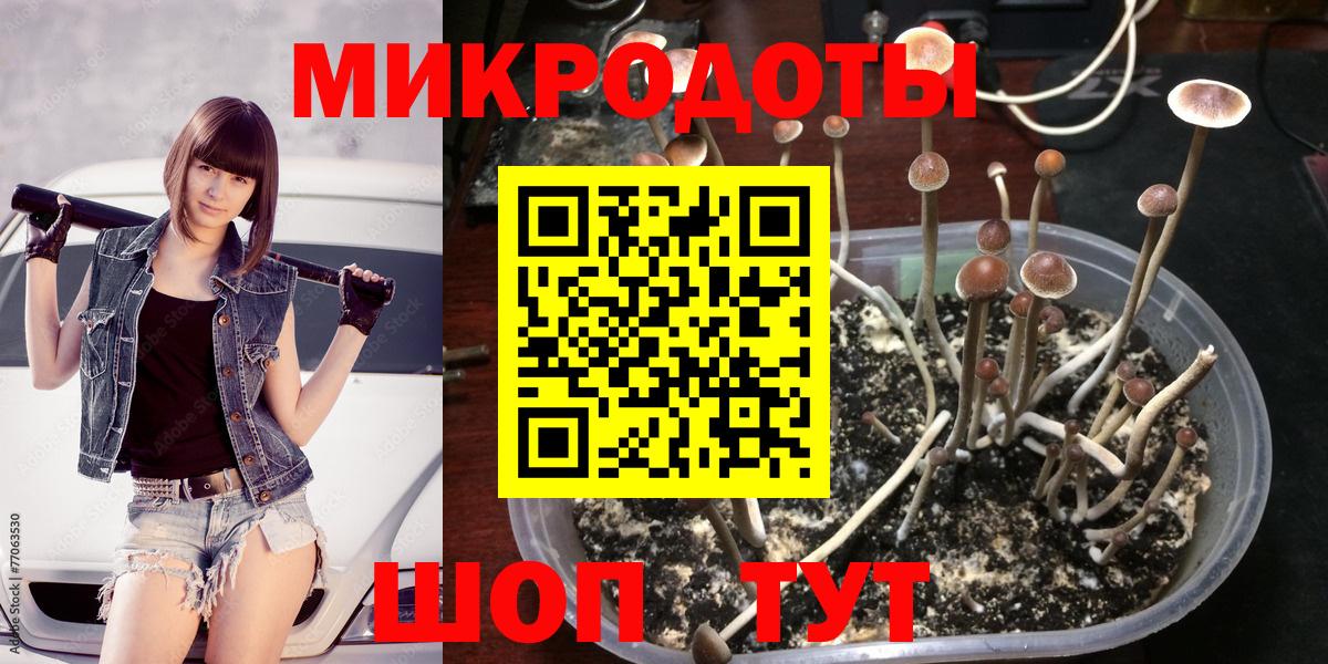 Нефтекамск  Псилоцибиновые грибы мухоморы  Вход с VPN  Галлюциногенные грибы Psilocybine cubensis 